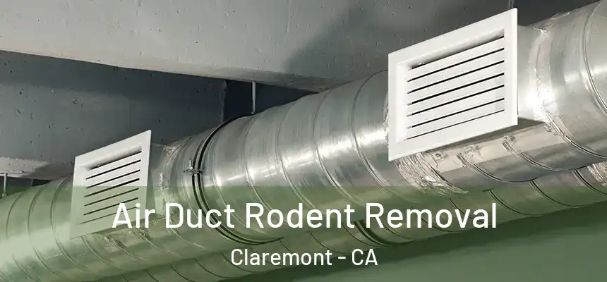 Air Duct Rodent Removal Claremont - CA