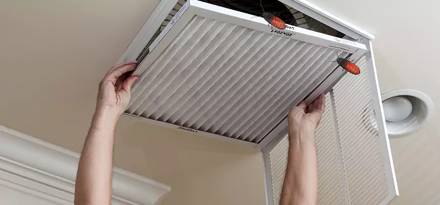 Preventive Cockroach-Proofing for Ducts in Claremont
