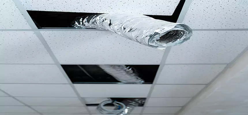 Our Air Duct Pet Hair Removal Services in Claremont, CA