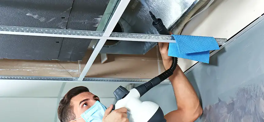 Our Air Duct Rodent Removal Services in Claremont, CA