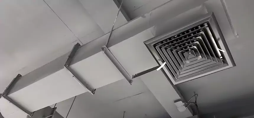 Our Pest Removal From Ducts Services in Claremont, CA