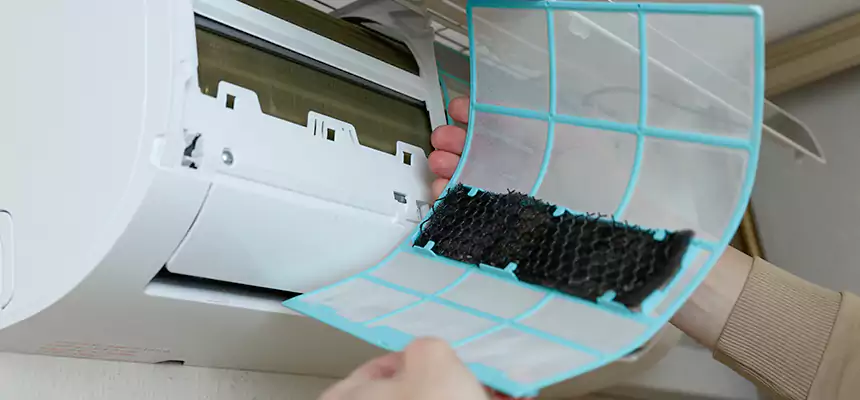 Gentle Ductwork Odor-Control Pet Dander Duct Cleaning in Claremont, CA