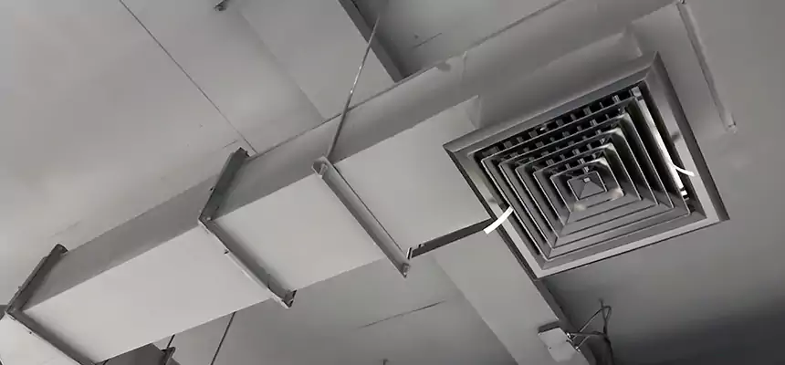 Our Rodent Droppings In Vents Services in Claremont, CA