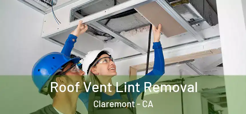 Roof Vent Lint Removal Claremont - CA