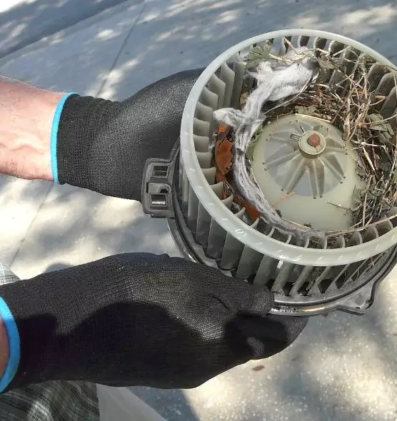 About Air Duct Rat Removal in Claremont, CA