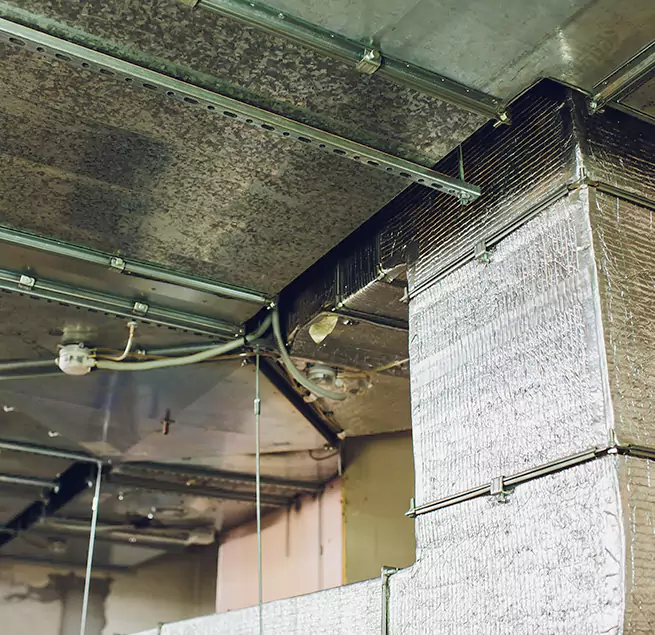 Why Homeowners & Businesses Trust Us in Claremont, CA?